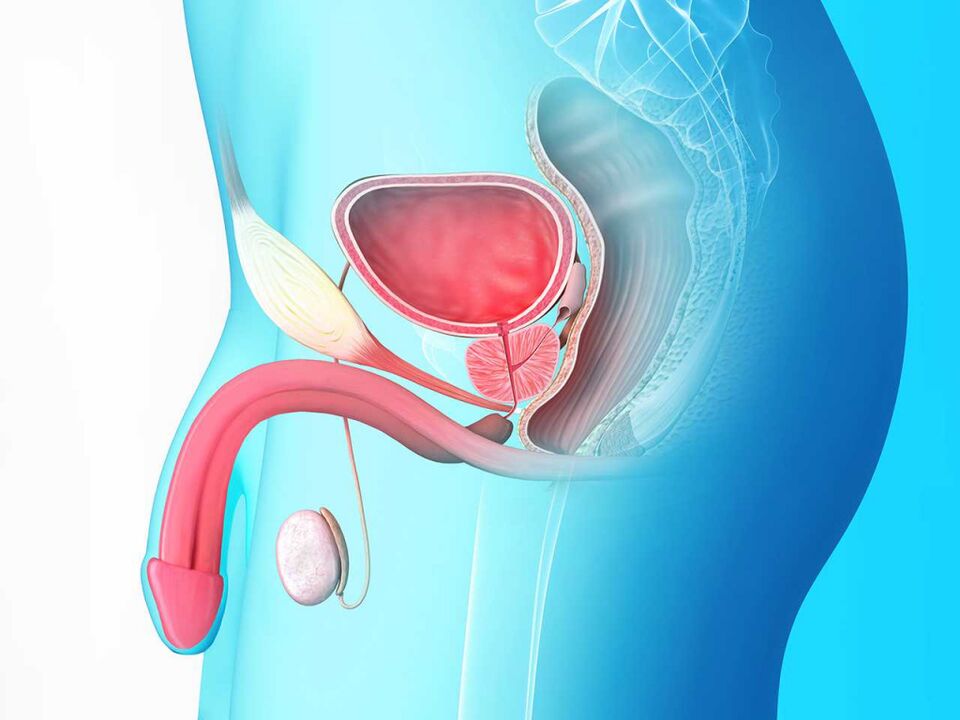 Prostatitis sumamed